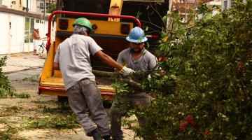 Defesa Civil e Serviços Públicos  fazem serviços emergenciais após chuvas e ventos  