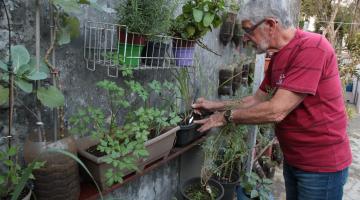 Projeto Condomínio Sustentável promove oficina de horta doméstica 