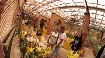 Variedade, exotismo e perfume na feira de orquídeas e suculentas do Orquidário  
