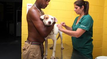 cão é segurado pelo dono enquanto é vacinado #paratodosverem 