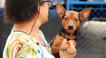 Santos vacina mais de 150 pets em 1º dia de campanha; terça será em Monte Cabrão