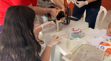 pessoas seguram gato #paratodosverem