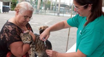 gato é vacinado no colo de senhora #paratodosverem 