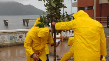 Dois homens plantam árvore em canteiro #pracegover