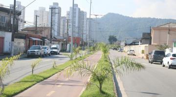 Avenida reurbanizada, com pistas dos dois lados, ciclovia ao centro, postes de iluminação e paisagismo. #paratodosverem