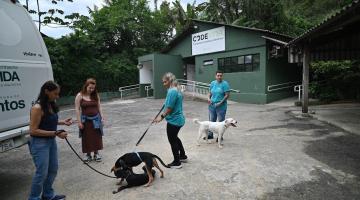 pessoas com cachorros na codevida #paratodosverem