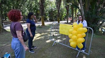 bexigas amarelas afixadas em mureta #paratodosverem