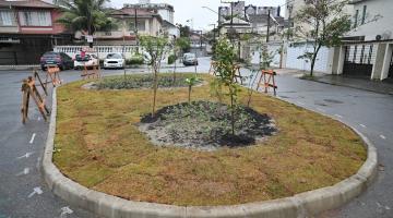 pequena praça com gramado e mudas de árvores. #paratodosverem