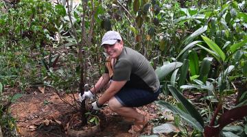 mulher planta muda de árvore em jardim. #paratodosverem 