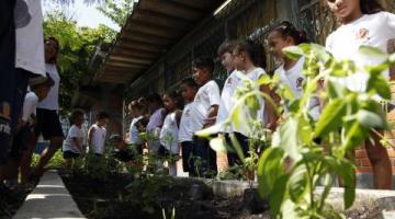 Programação da  Semana do Meio Ambiente começa nesta terça