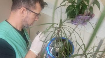 agente faz vistoria em prato de planta #paratodosverem