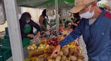 homem mexe em batatas em bancada com vários orgânicos #paratodosverem