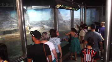 Santos deve receber até 276 mil turistas no feriado de Corpus Christi
