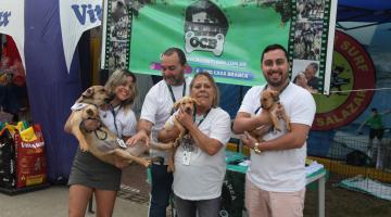 representantes de ONGs mostram animais para adoção #paratodosverem