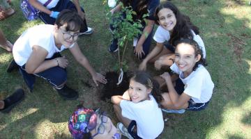 Semana do Meio Ambiente começa com plantio de 50 árvores e mais de 3,4 mil resíduos recolhidos em Santos