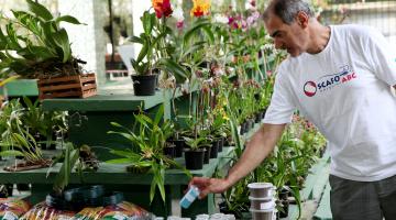 Orquídeas, orgânicos e brincadeiras na Páscoa do Botânico