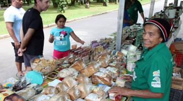 Primeira feira de orgânicos do ano terá atividades especiais 