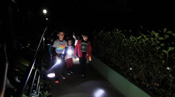 crianças caminham em alameda de parque iluminando área com lanternas nas mãos. #paratodosverem 