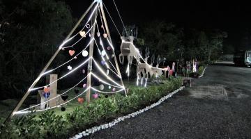 árvore de natal iluminada e trenó. #paratodosverem