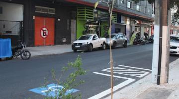 duas novas mudas plantadas #paratodosverem 
