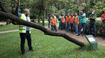 técnico do IPT usando colete está ao lado de tronco de árvore inclinado. Ele conversa com grupo de pessoas que estão em pé. a área é coberta por vegetação. #paratodosverem 