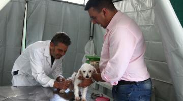 Vacinação de cães e gatos contra a raiva começa esta semana