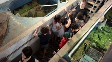 Crianças estão em um corredor observando tanques onde estão os peixes. #Pracegover