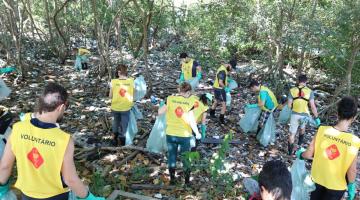 voluntários fazem limpeza em mangue #pracegover 