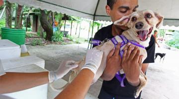 Vacinação de animais segue até sexta-feira no Botânico