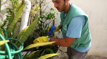 agente verifica focos de dengue em vaso #pracegover  