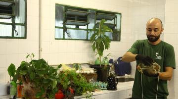 Aprenda a fazer compostagem e concorra a um minhocário em Santos