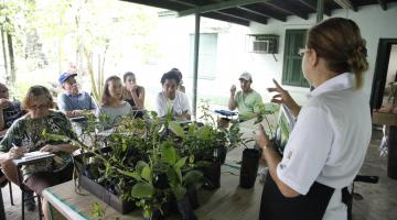 Jardim Botânico oferece atividades gratuitas