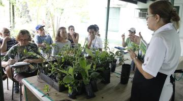 Curso sobre ervas medicinais desperta curiosidade de alunos no Botânico