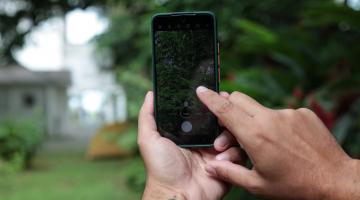 mão segura celular em primeiro plano que foca em plantas. #paratodosverem