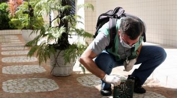 Comitê acompanha panorama e traça estratégias para o combate à dengue em Santos