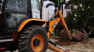 trator remove árvore derrubada no jardim da praia. #paratodosverem