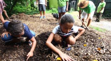 Curso no Botânico envolve crianças em atividades sensoriais
