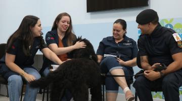 técnicos interagem com cães #paratodosverem