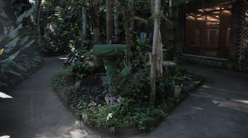 canteiro de plantas no orquidário. #paratodosverem 