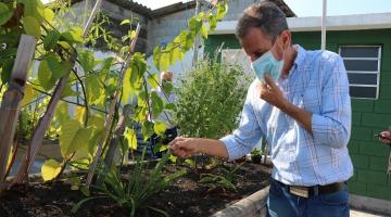 medico mexe em horta com plantas #paratodosverem