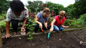 Domingo no Jardim Botânico tem programação especial