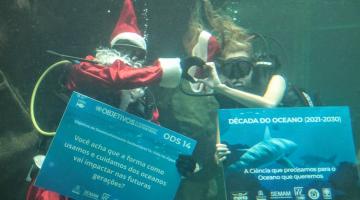 mergulhadores com placas no aquário #paratodosverem