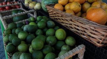 frutas em banca de feira. #paratodosverem