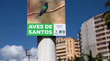 placa com foto de ave afixada em poste. Há prédios atrás. #paratodosverem 