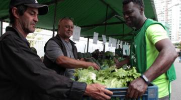 Projeto reaproveita hortaliças de feira de Santos para educação ambiental e combate à fome