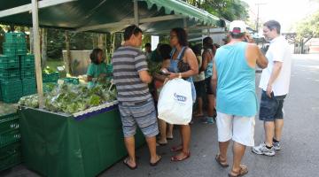 Feira de orgânicos comemora sete anos com edição especial