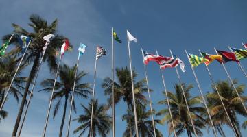 bandeiras do brasil, mercosul e estados brasileira hasteadas com palmeiras ao fundo. #paratodosverem 