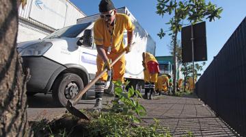 Capinação: equipes atuam em mais de 57 mil metros em 10 dias em Santos