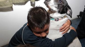 menino abraça cachorro #pracegover 