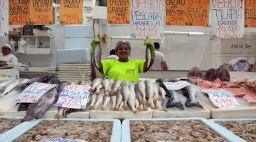 vendedora mostra peixes à venda #paratodosverem 